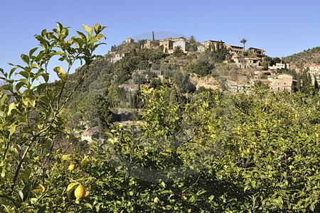 Bergdorf Deià