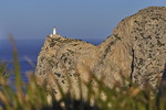 Cap Formentor