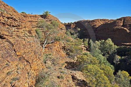 Kings Canyon