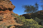 Kings Canyon