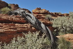 Kings Canyon