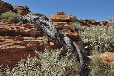 Kings Canyon