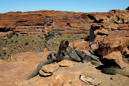 Kings Canyon