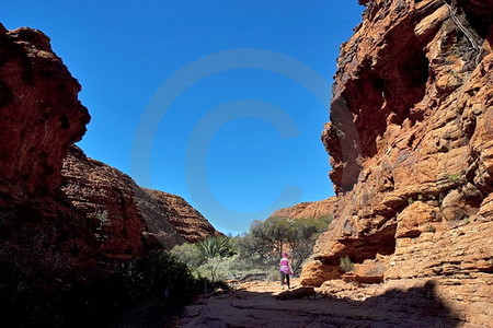 Kings Canyon