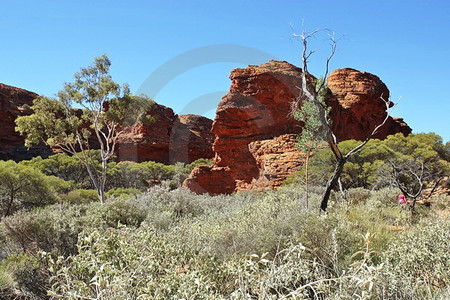 Kings Canyon