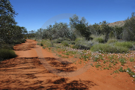 Alice Springs Desert Park