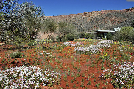 Alice Springs Desert Park