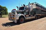 Road Train