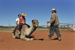 Camel Farm