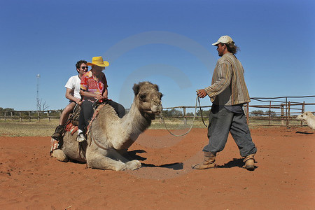 Camel Farm