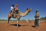 Camel Farm