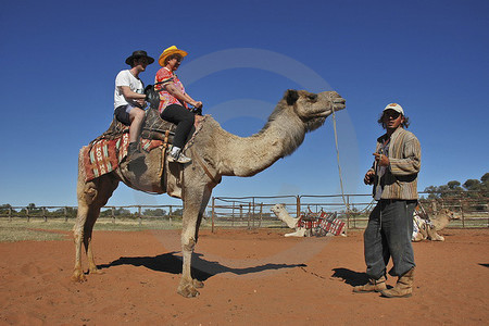 Camel Farm