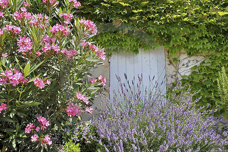 Provence-Impressionen