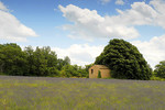 Landschaft bei St. Trinit