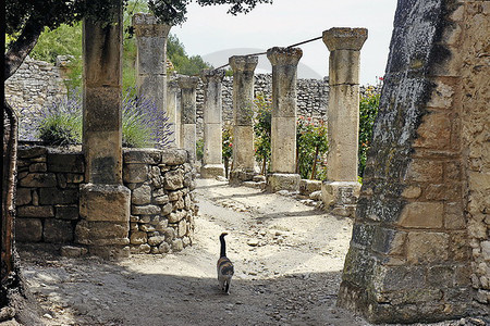 Saint Hilaire