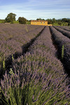 Provence-Impressionen