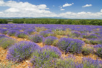 Provence-Impressionen