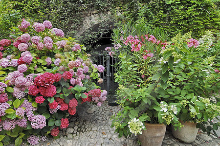 Provence-Impressionen