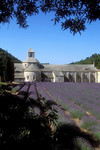 Kloster Sénanque