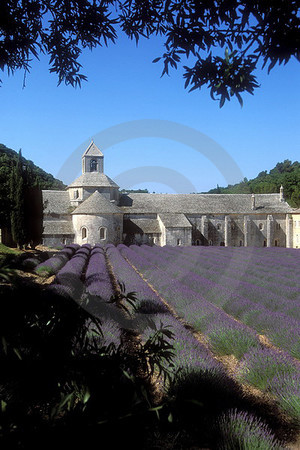 Kloster Sénanque