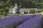 Kloster Sénanque