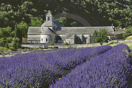 Kloster Sénanque