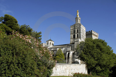 Kathedrale Notre-Dame