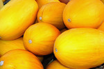 Honigmelonen