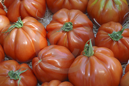 Provencalische Fleischtomaten