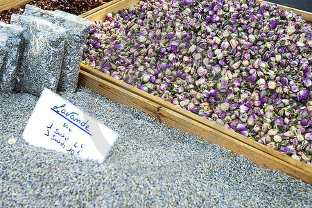 Lavendel