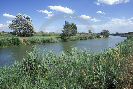 Canal d'Arles