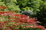 Brücke im Garten