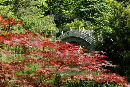 Brücke im Garten