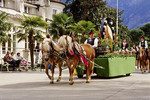 Meran - Haflinger-Umzug