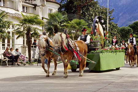 Meran - Haflinger-Umzug
