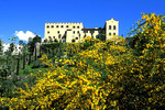 Meran - Schloss Trauttmansdorff