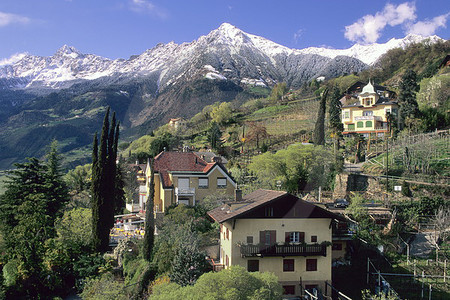 Meran - Blick gegen Texelgruppe