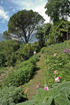 Meran - Mediterraner Garten