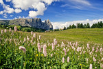 Seiser Alm - Blick gegen Schlern