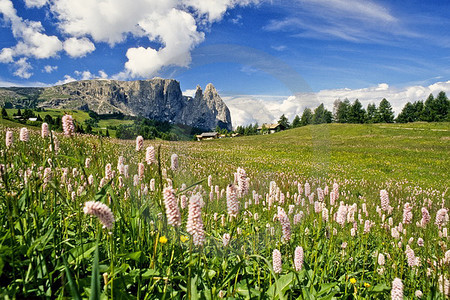 Seiser Alm - Blick gegen Schlern