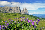 Seiser Alm - Schlern mit Santnerspitze