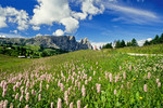 Seiser Alm - Blick gegen Schlern