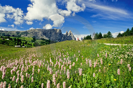 Seiser Alm - Blick gegen Schlern