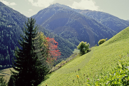 Ultental - Bei St. Walburg-Kuppelwies