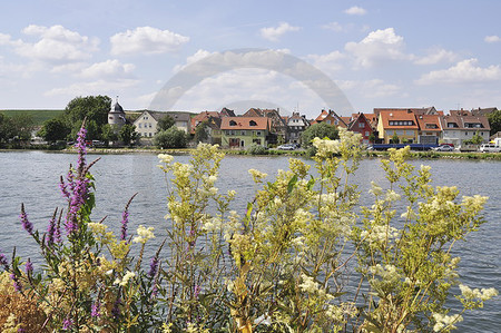 Segnitz am Main