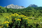 Allgäuer Berglandschaft