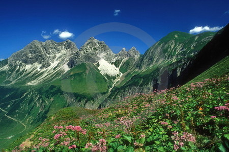 Allgäuer Berge