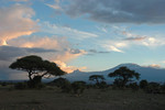 Abendstimmung im Amboseli Nationalpark