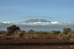 Kilimanjaro