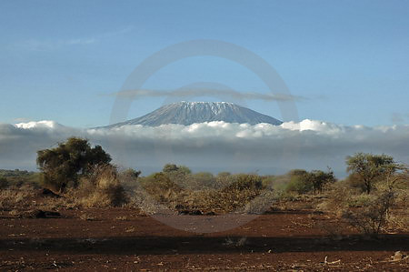 Kilimanjaro